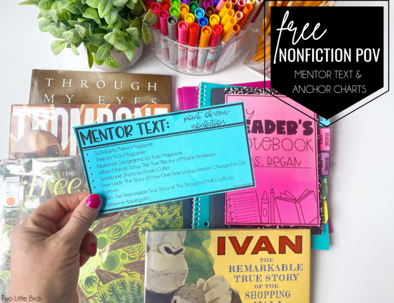 Free Nonfiction Point of View Anchor Charts - Two Little Birds Teaching