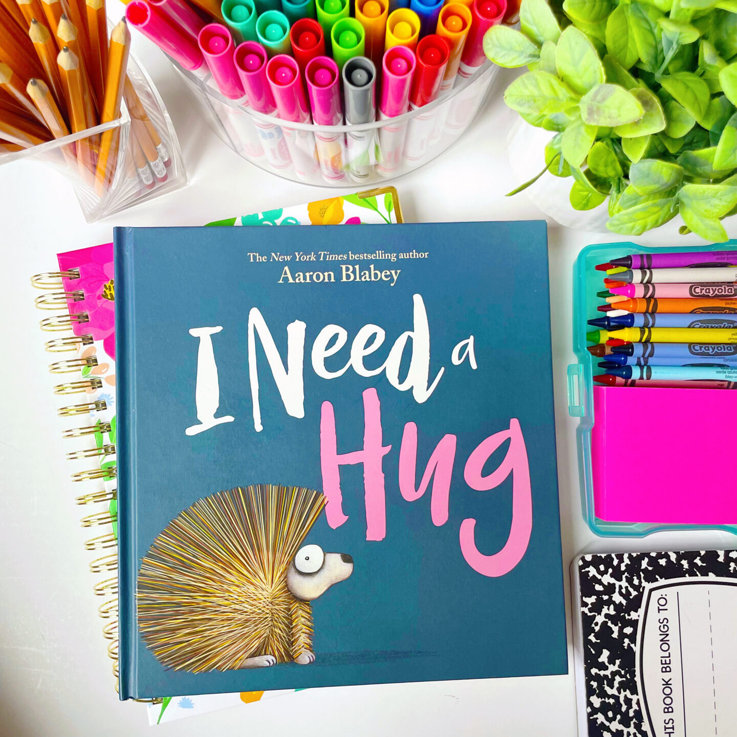 I Need a Hug book