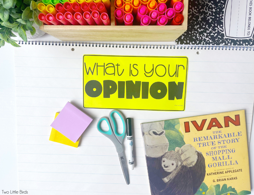 what is your opinion anchor chart
